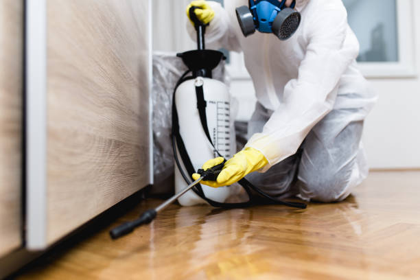 Best Pest Control Near Me in East Shoreham, NY