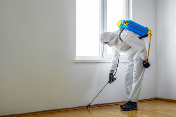 Trusted East Shoreham, NY Pest Control Experts