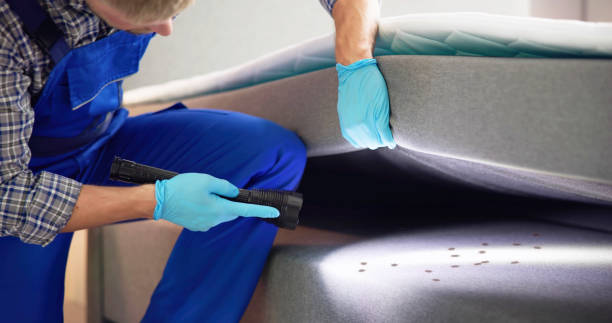 Best Local Pest Control Services  in East Shoreham, NY