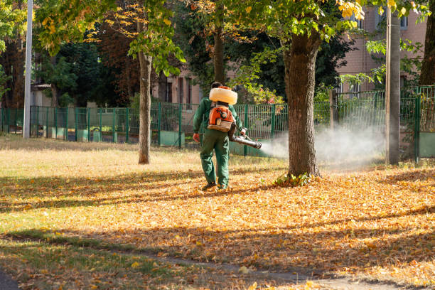 Best Mosquito Control Services  in East Shoreham, NY