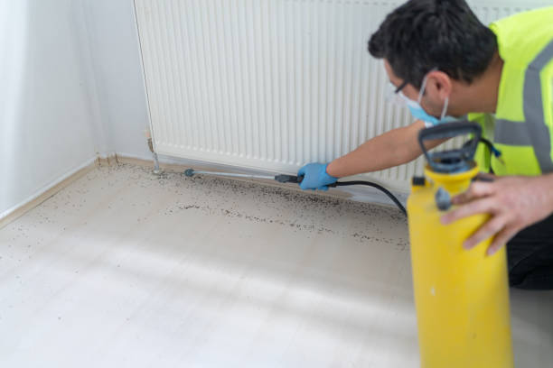 Best Residential Pest Control  in East Shoreham, NY